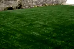 artificial-turf-for-home33278676026