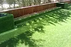 966