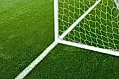 50mm-height-stem-inside-artificial-grass-turf06032504487