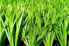 artificial-grass-football-pitch44232302523