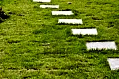 15478816-stone-block-walk-path-in-the-park-with-green-grass-background
