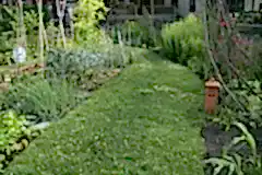 path-main-grass-path