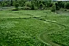 prairie-growth