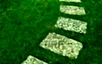 thumbs_12027986-the-stone-block-walk-path-in-the-park-with-green-grass-background